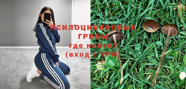 мяу мяу мука Белоозёрский